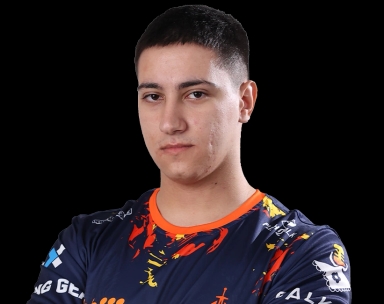 MegaJ