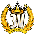 3v Team