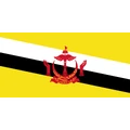 Brunei (National Team)