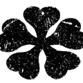 Clover 05