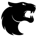 FURIA Academy
