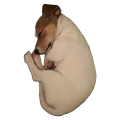 Gmae