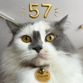 Goose57