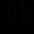 RevenGa Esports