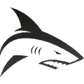 Shark Attack