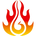 Team Phoenix (Turkish Team)