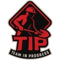 Team in Progress
