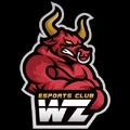 WanZhen Esports Club