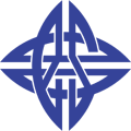 eStar (Chinese Team)