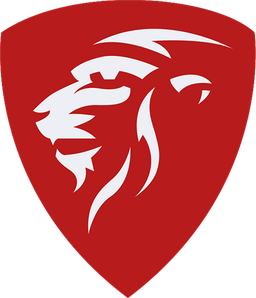 Ambition Esports