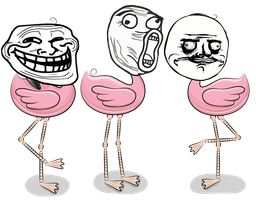 Die Flamongos