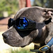Doggles Esports