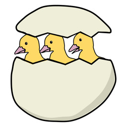 Ducklings