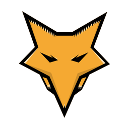 FoXRaiD Gaming