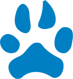 Northwood University White