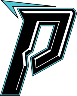 Panik Gaming