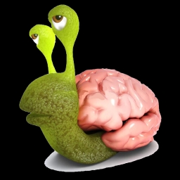 Slow Brain Good Brain
