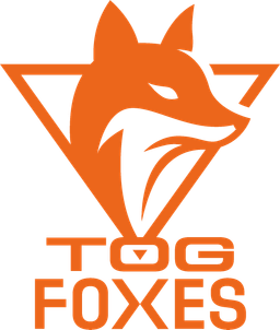 TeamOrangeGaming