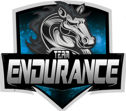 Team Endurance