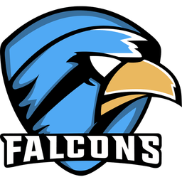 ToxicFalcons