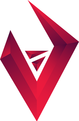 Vizard