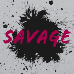 SAVAGE!! vol.3