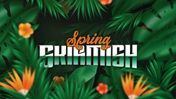 Spring Skirmish: North America 2 - Qualifier