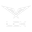 lck