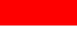 Team Indonesia