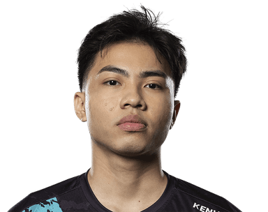 PlayerImage