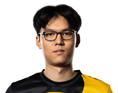 PlayerImage