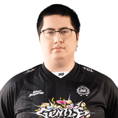 PlayerImage