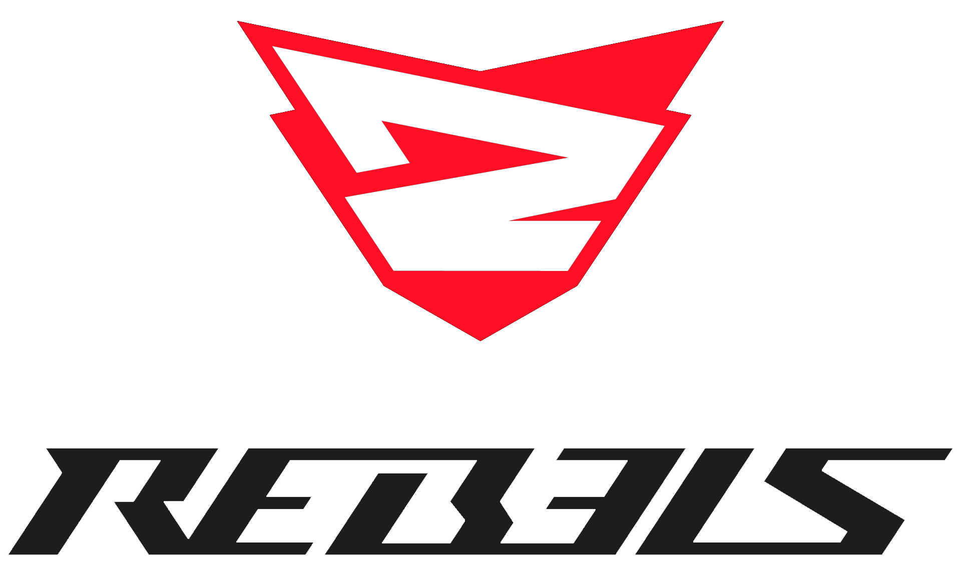 Rebels Gaming kicks all their players