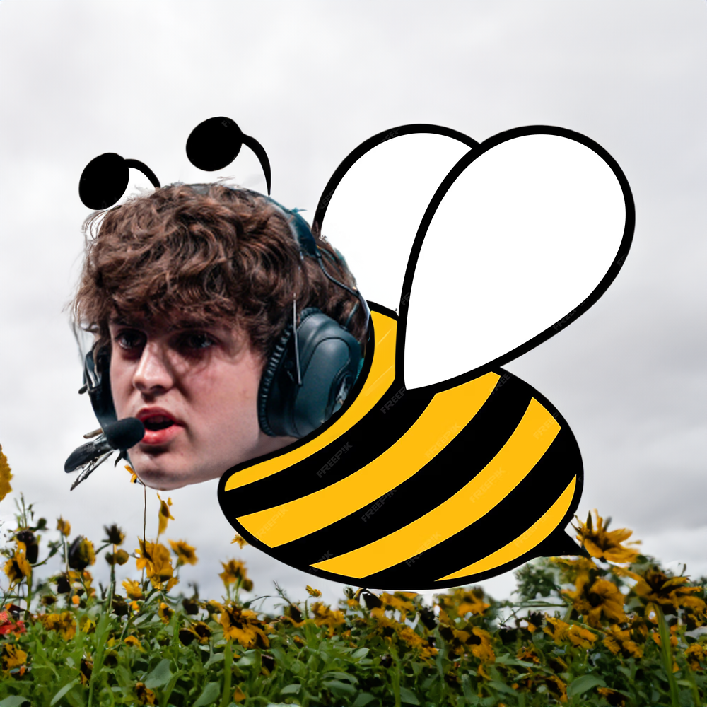Dj Carzzy disguising as a bee