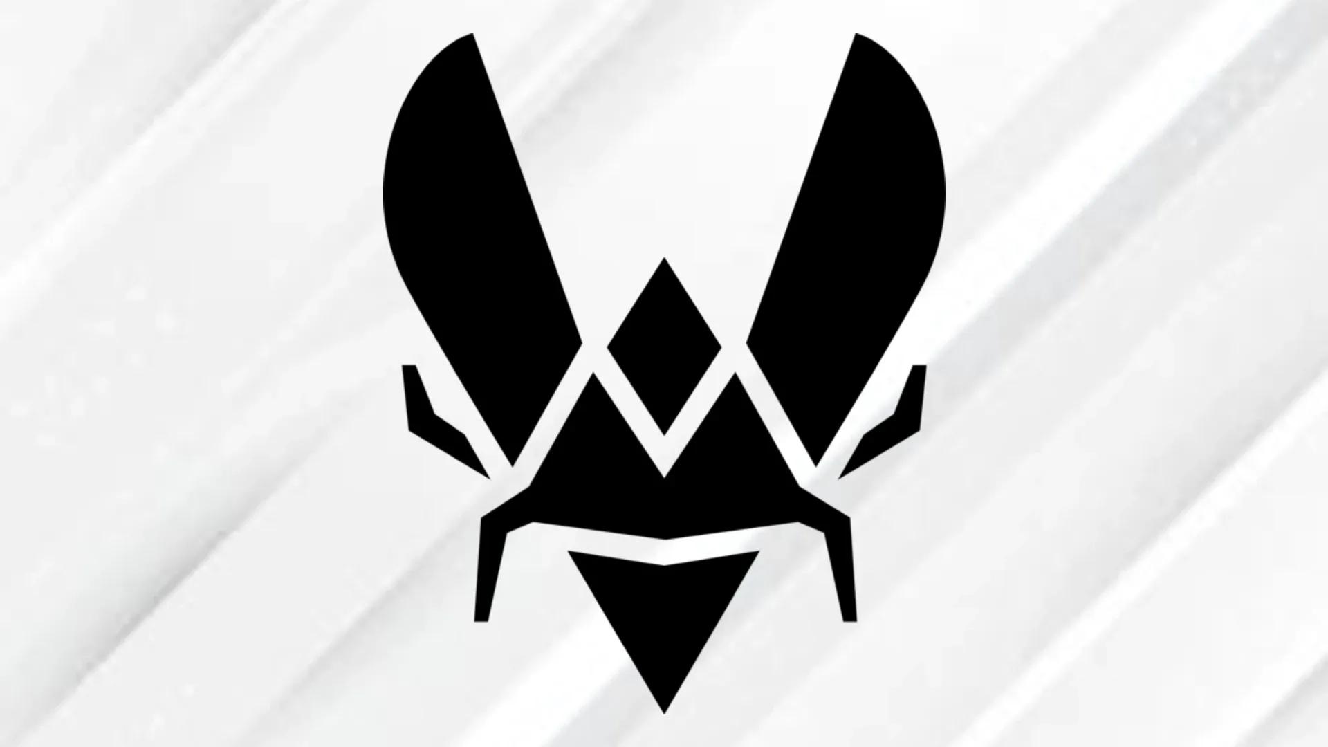 Team VItality Roster Summer Split LEC 2025