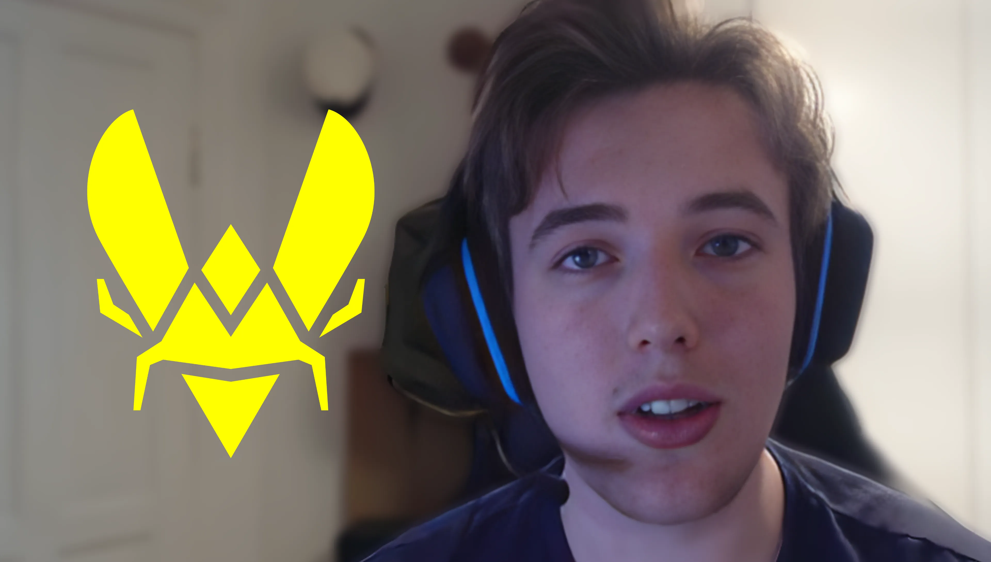 Vitality.Bee Vizzpers