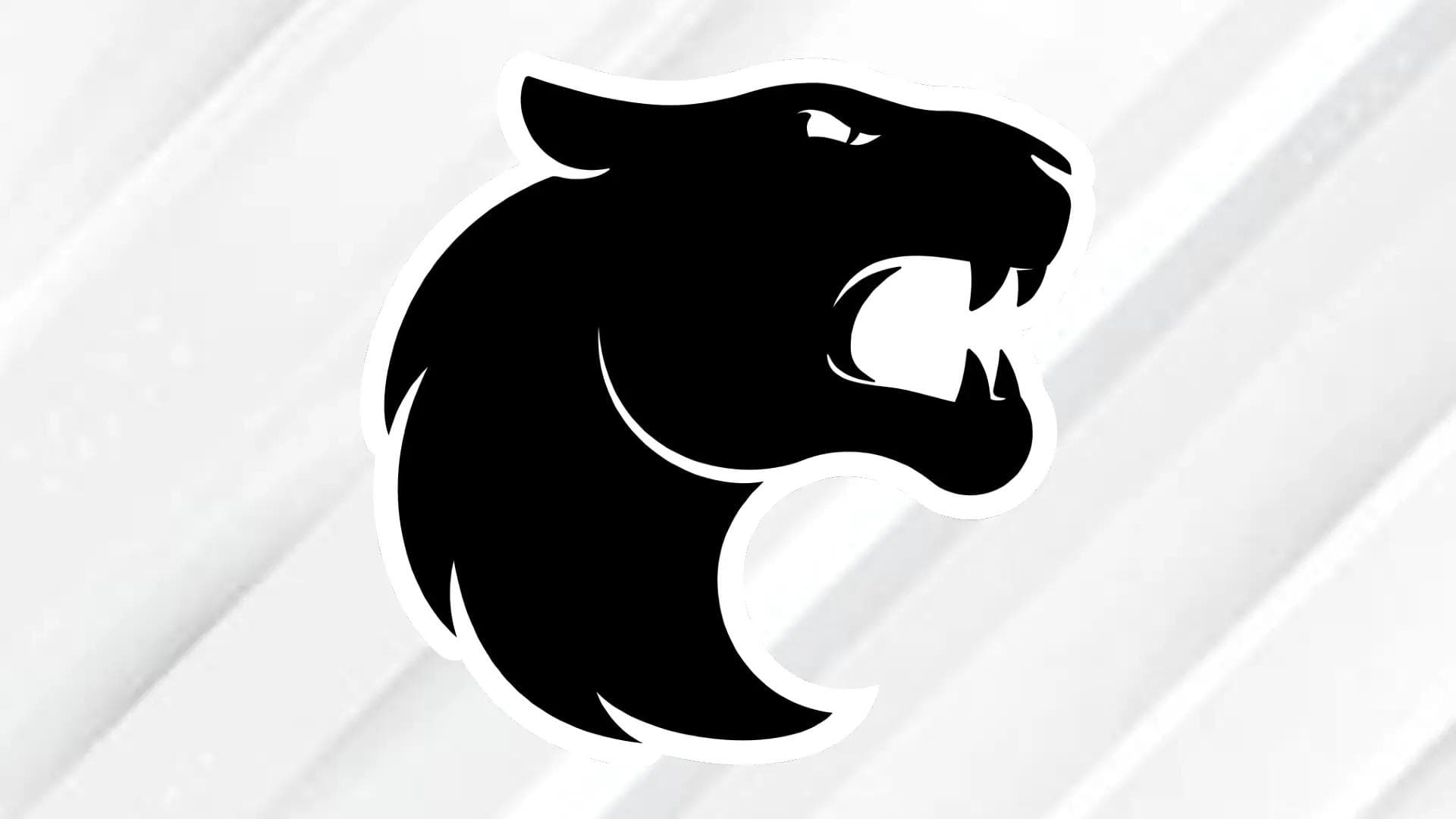 FURIA Logo