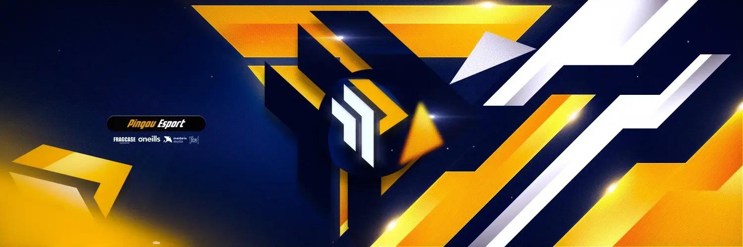 Pingou Esport arrive sur un nouveau jeu : League of Legends