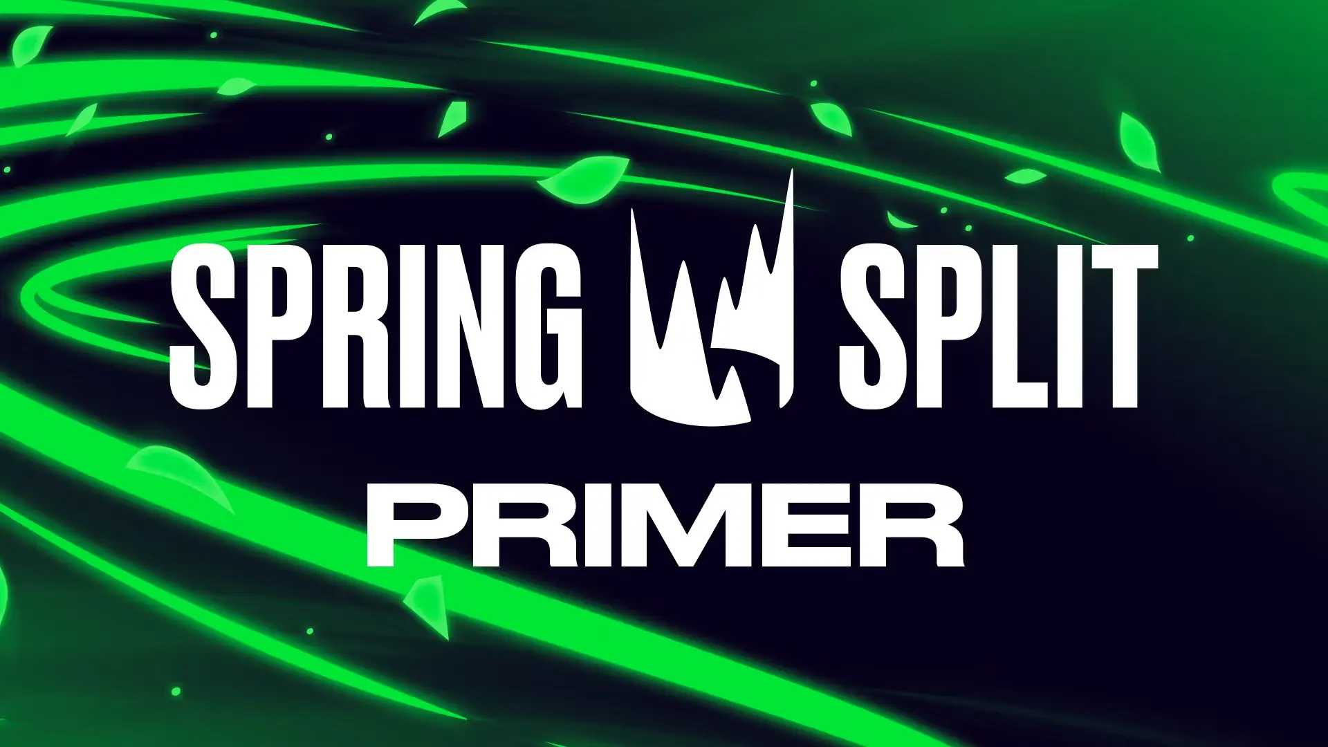 Spring Split LEC