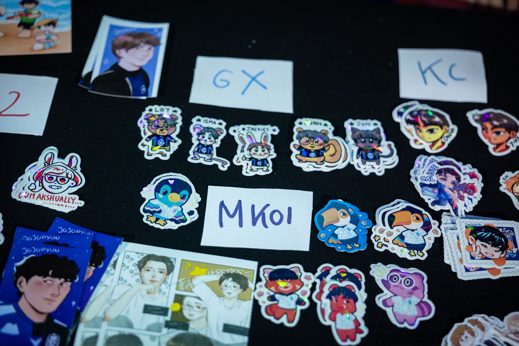 LEC Fan Art in the BErlin Arena. Photo by Wojciech Wandzel/Riot Games.