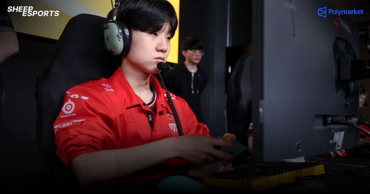 Sheep Esports - LoL: 
