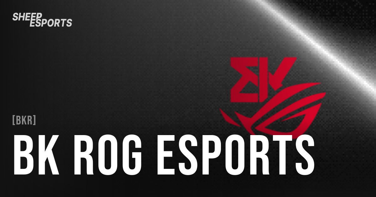 BK ROG Esports - Team Stats | Sheep Esports
