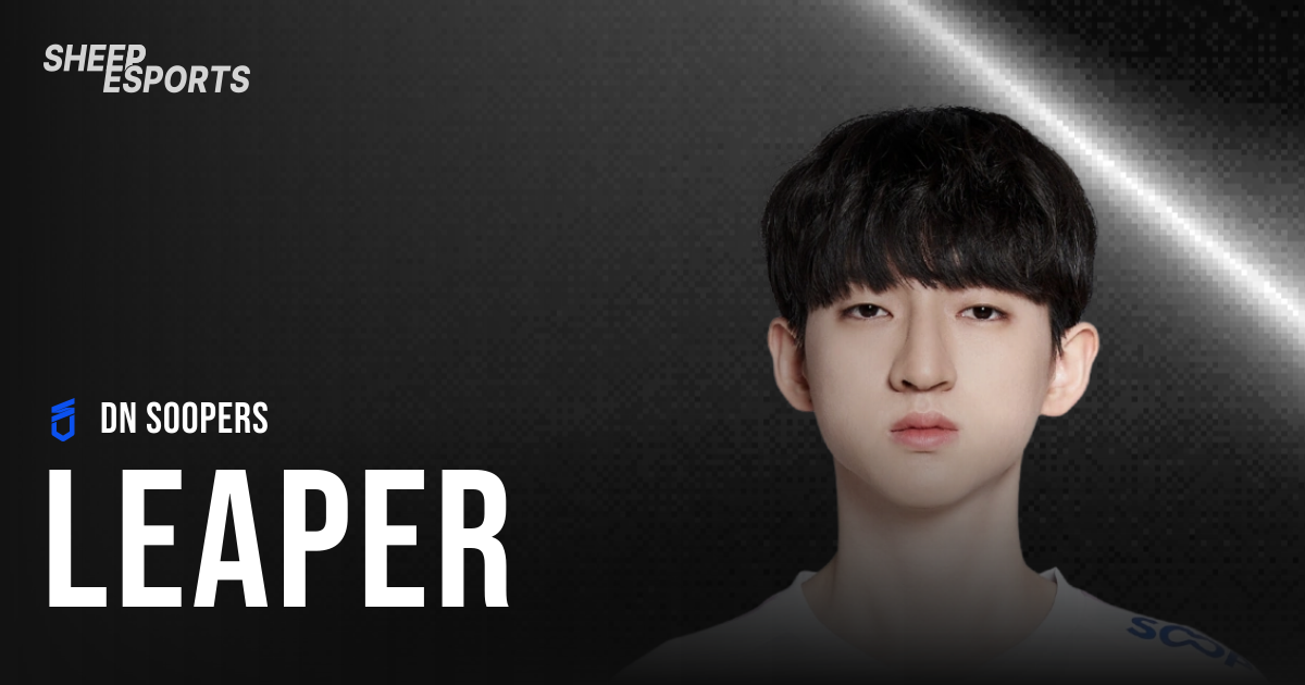 Leaper - Pro Stats | Sheep Esports