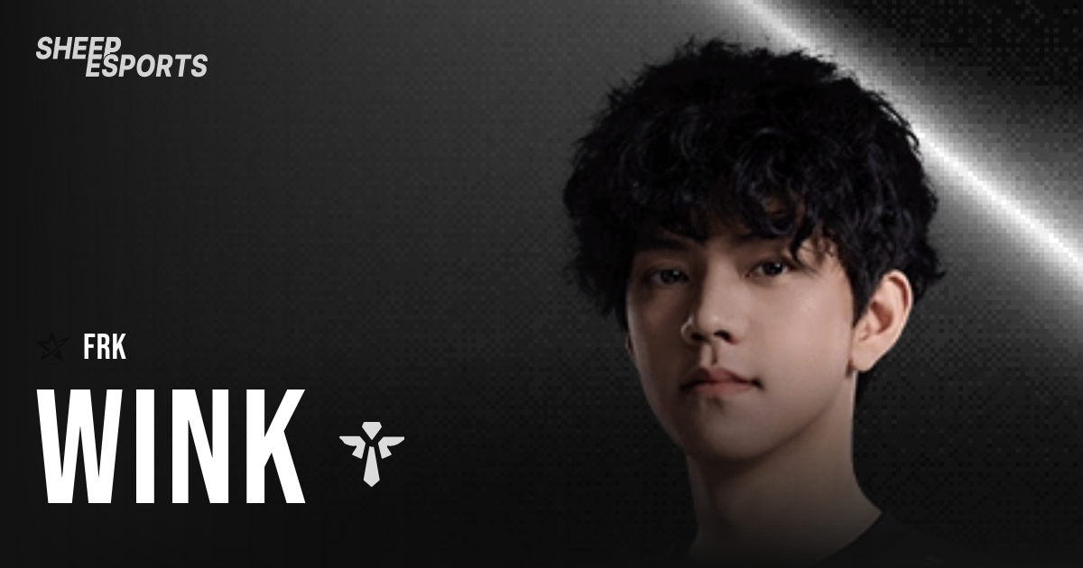 Wink - Pro Stats | Sheep Esports